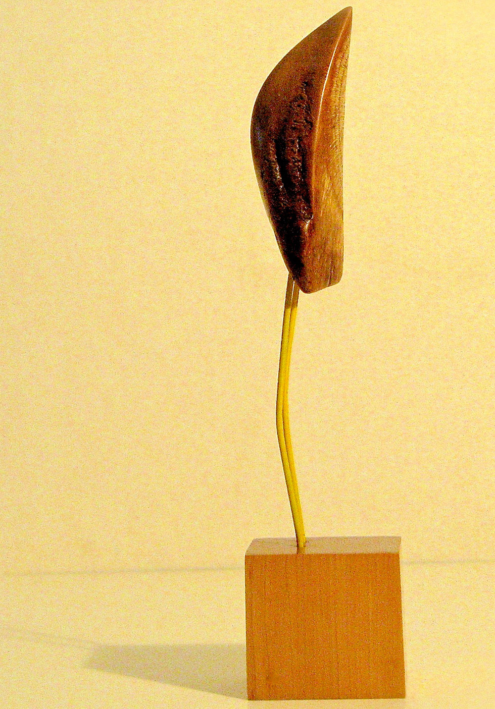 Knot Bird wood sculpture