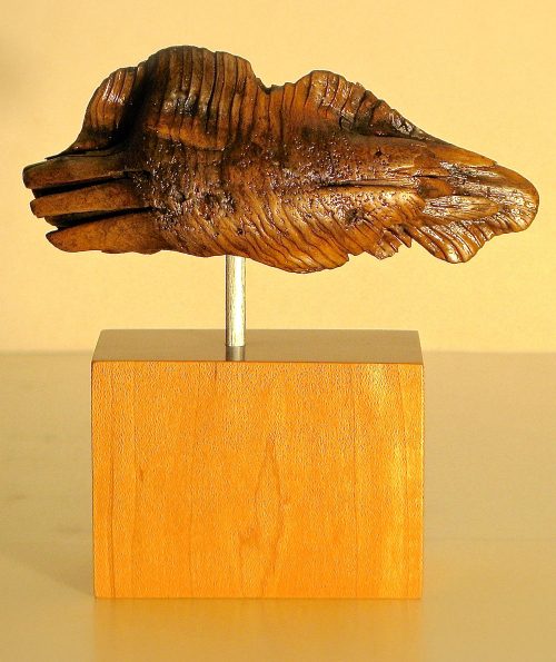 Root Fish driftwood sculpture
