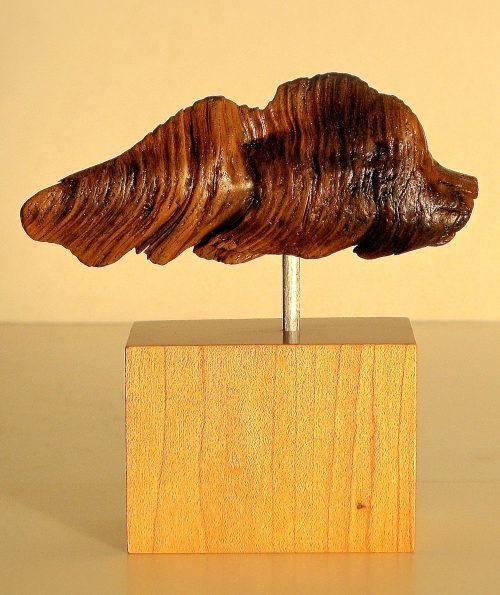 Root Fish wood carving sculpture