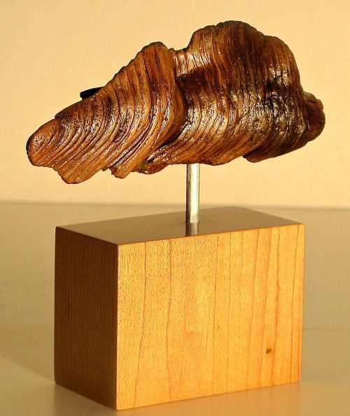 Root Fish woodcarving sculpture