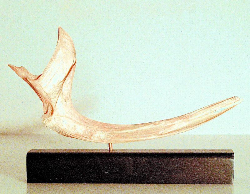 Wing Whale bone sculpture